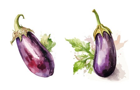 Eggplant, watercolor painting style illustration. Vector set.のイラスト素材