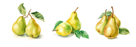 Pears, watercolor painting style illustration. Vector set.のイラスト素材