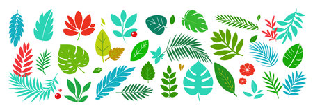 Set of different leaves, tropical and others. Big collections of flat style leaves and branches. Botanical set for card, posters, any design. Vector illustration.のイラスト素材