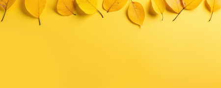 Yellow autumn leaves on a yellow background. Autumn banner. Generative AIの素材