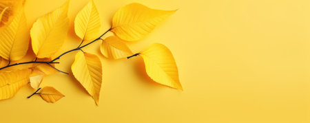 Yellow autumn leaves on a yellow background. Autumn banner. Generative AIの素材