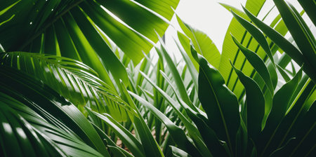 Panoramic background of tropical plants. Generative AIの素材