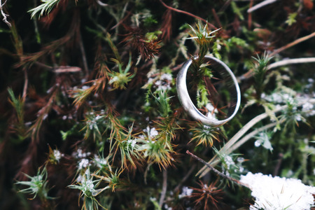 white gold rings on natural backgroundの写真素材