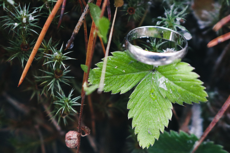 white gold rings on natural backgroundの写真素材