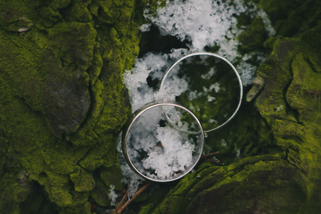 white gold rings on natural backgroundの写真素材