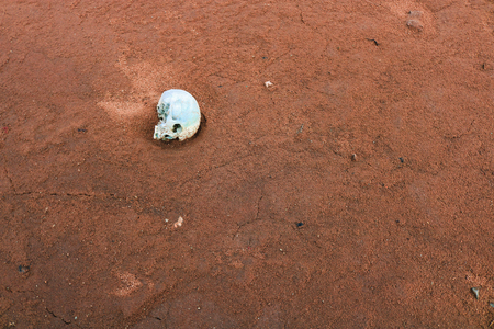 skull on a background of red sandの写真素材