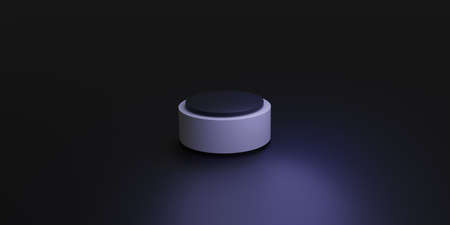 Black and White podium with soft shadows on the background for product presentation in 3D rendering....