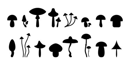 Mushroom icon set. Poisonous and edible mushrooms black silhouette. Vector isolated on background.のイラスト素材