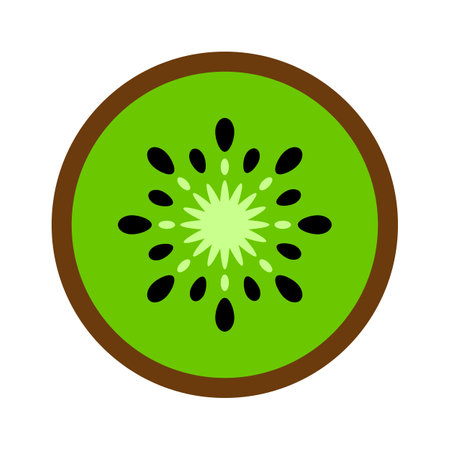 Kiwi fruit flat icon. Kiwi illustration for design isolated on white background. Vectorのイラスト素材