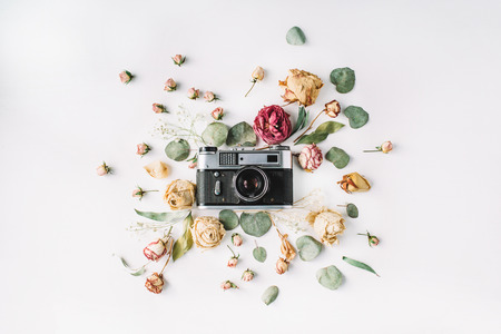 Flat lay. Vintage retro photo camera, beige roses and green leaves