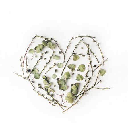 Heart made with pussy-willow, branches and green leaves isolated on white background. Flat layの写真素材