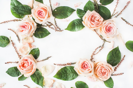 frame with pink roses, branches, leaves and petals isolated on white background. flat lay, overhead viewの写真素材
