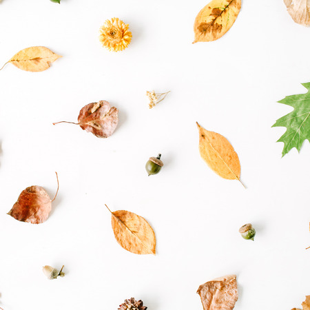autumn fall flat lay, top view creative arrangement.の写真素材