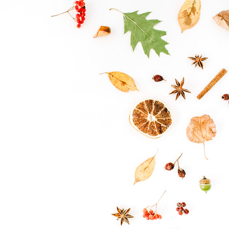 autumn fall flat lay, top view creative arrangement.