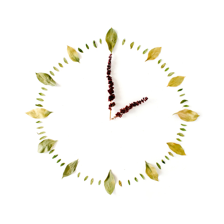 flat lay clock face made of green leaves. top viewの写真素材