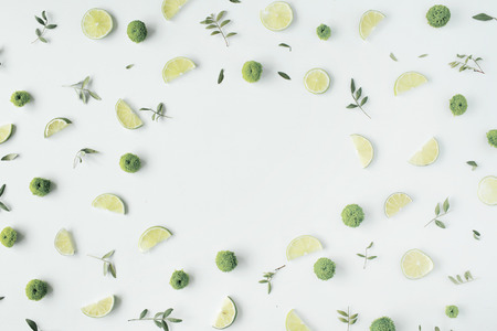 lime and green branches frame on white background. flat lay, top view
