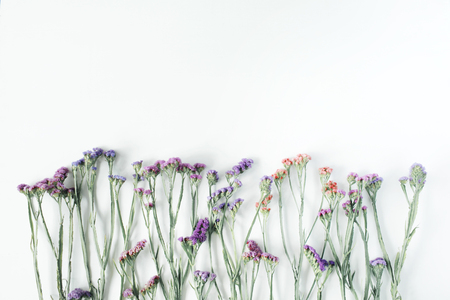 dried flowers on white background. autumn flat lay wallpaper, top viewの写真素材