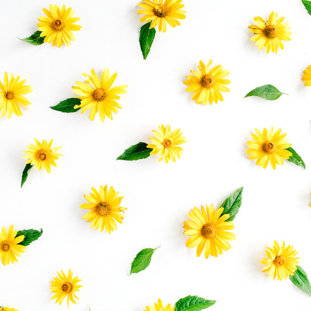 daisy, chamomiles and green leaves pattern. flat lay, top view