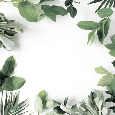 frame with flowers, branches, leaves and petals isolated on white background. flat lay, overhead...