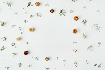 frame with yellow dry flowers, branches, leaves and petals isolated on white background. flat lay, overhead viewの写真素材