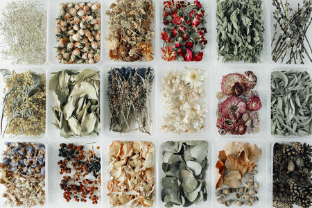 Assortment of dried flowers, leaves and petals in boxes on white. flat lay, top view