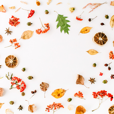 autumn fall flat lay, top view creative frame arrangement.の写真素材