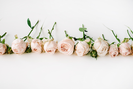 Roses on white background. Flat lay, top viewの写真素材