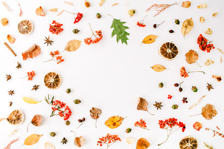 autumn fall flat lay, top view creative frame arrangement.の写真素材