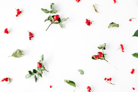 floral frame with minimal creative berry arrangement pattern on white. flat lay, top view. christmas background wallpaper.の写真素材