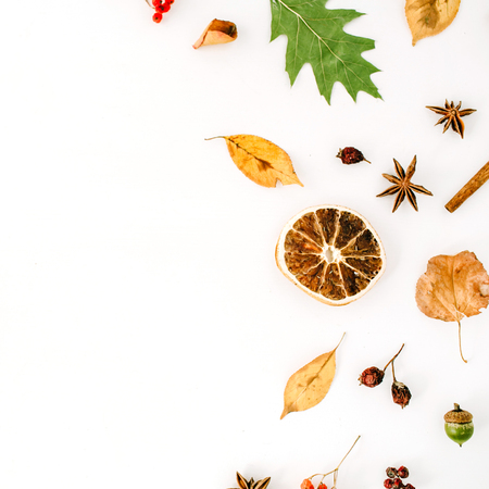 autumn fall flat lay, top view creative arrangement.の写真素材