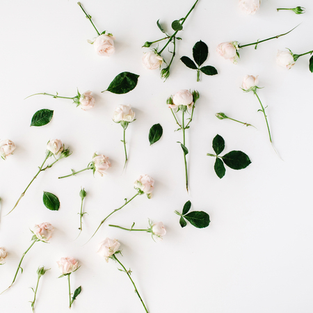 Roses on white background. Flat lay, top viewの写真素材
