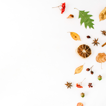 autumn fall flat lay, top view creative arrangement.の写真素材