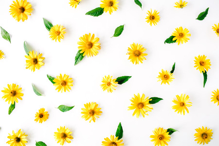 daisy, chamomiles and green leaves pattern. flat lay, top viewの写真素材
