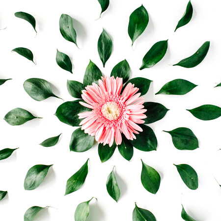 Pink gerbera daisy pattern on white background. Flat layの写真素材