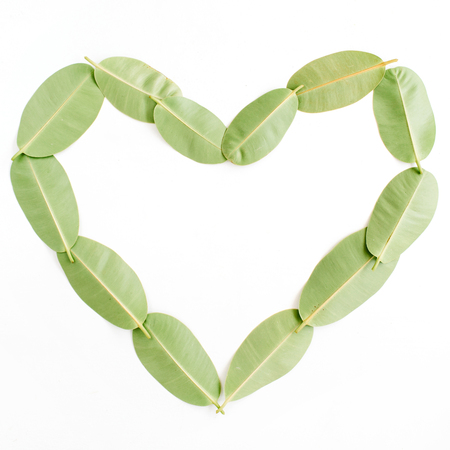 heart symbol made of green leaf on white background. flat lay, top viewの写真素材
