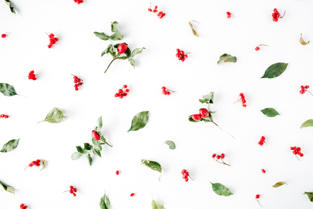 minimal creative berry arrangement pattern on white. flat lay, top view. christmas background wallpaper.の写真素材