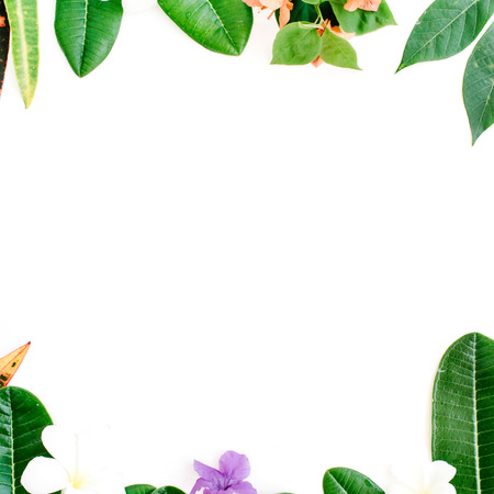 topical exotic colored leaf frame on white background. flat lay, top viewの写真素材