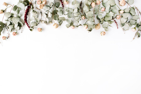 Header. Eucalyptus branches and pink rose buds on white background. Flat lay, top view. Floral compositionの写真素材