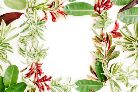 red and green petals and leaf frame on white background. flat lay.の写真素材