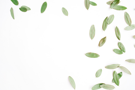 frame with green petals isolated on white background. flat lay, top viewの写真素材