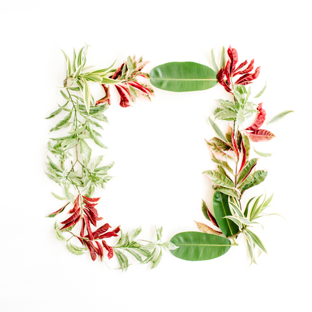 red and green petals and leaf frame on white background. flat lay.の写真素材