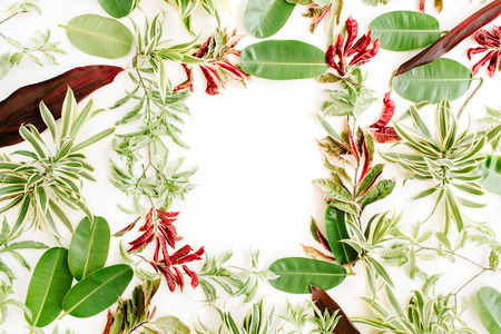 red and green petals and leaf frame on white background. flat lay.の写真素材