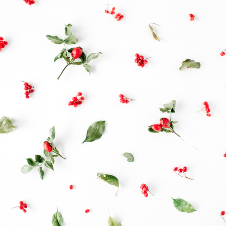 minimal creative berry arrangement pattern on white. lat lay, top view. christmas background wallpaper.の写真素材
