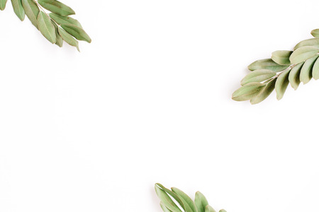 green branches isolated on white background. flat lay, top viewの写真素材