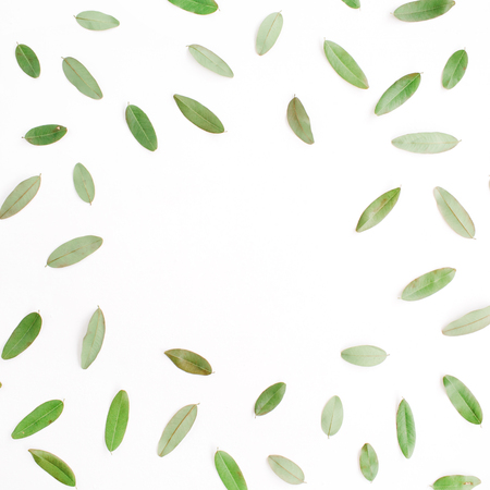 frame with green petals isolated on white background. flat lay, top viewの写真素材