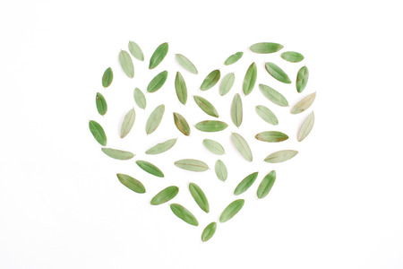 heart symbol made of green petals on white background. flat lay, top viewの写真素材