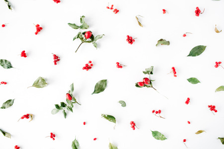 minimal creative berry arrangement pattern on white. flat lay, top view. christmas background wallpaper.の写真素材