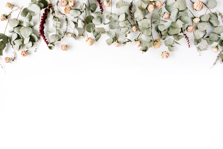 Header. Eucalyptus branches and pink rose buds on white background. Flat lay, top view. Floral compositionの写真素材
