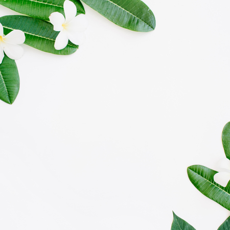 topical exotic colored leaf frame on white background. flat lay, top viewの写真素材