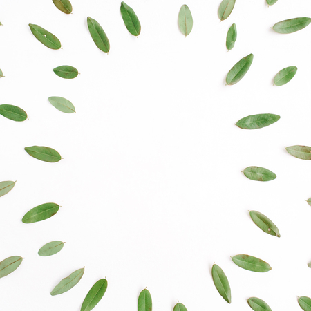 frame with green petals isolated on white background. flat lay, top viewの写真素材